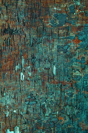 Maintenance and Care Tips for Washable Western Rugs